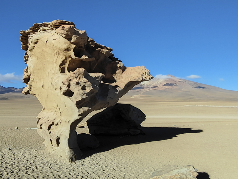 Групповой тур на новый год в Перу Боливия Чили боливия пустыня каменное дерево