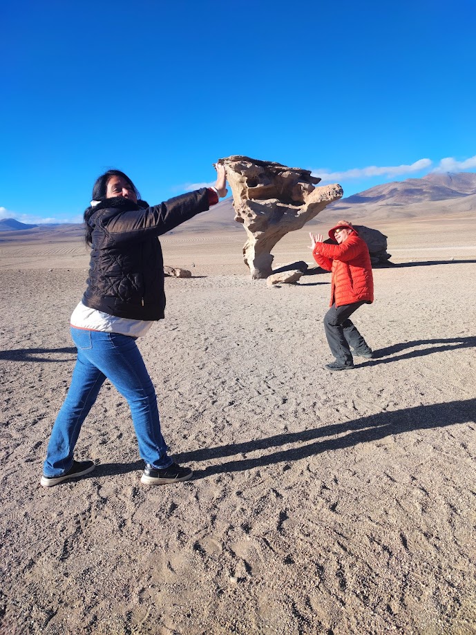 Групповой тур на новый год в Перу Боливия Чили боливия пустыня каменное дерево